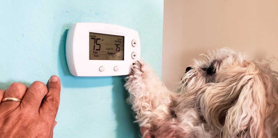 Best Time to Check Your Home's Air Conditioning